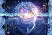 বিস্ময়কর জৈব কম্পিউটার