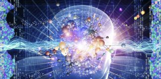 বিস্ময়কর জৈব কম্পিউটার