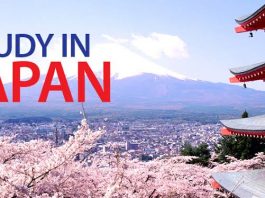 2019 NISF Scholarships for International Students at Japanese Universities in Japan