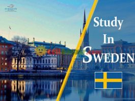 Full Swedish Institute Master Scholarships for Global Professionals (SISGP) Programme in Sweden, 2019